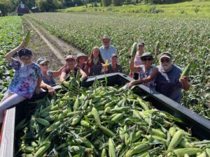 Harvest group around a truck full of sweet corn