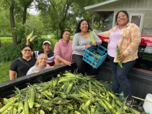 Volunteers with corn harvest