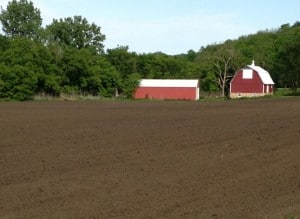 field planted to alfalfa